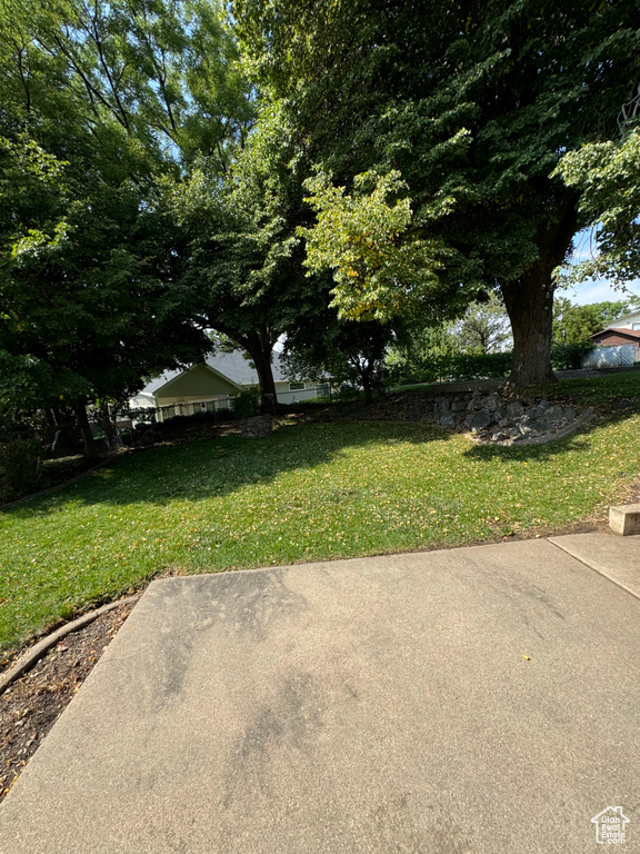 View of yard featuring a patio