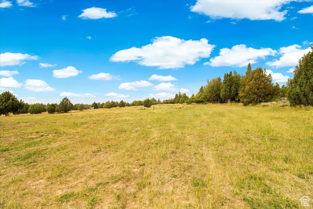 View of local wilderness featuring a rural view