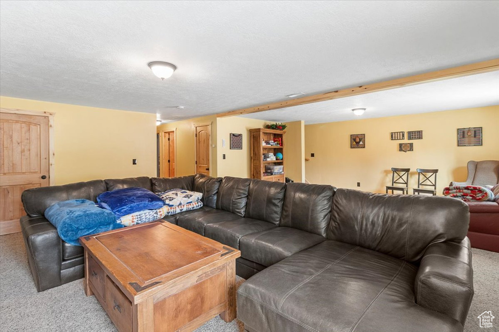 Living room featuring light carpet and a textured ceiling