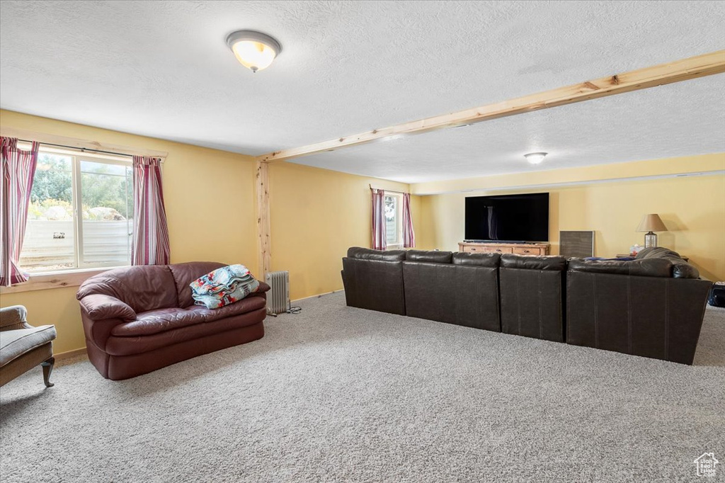 Living room with radiator heating unit, a textured ceiling, and carpet