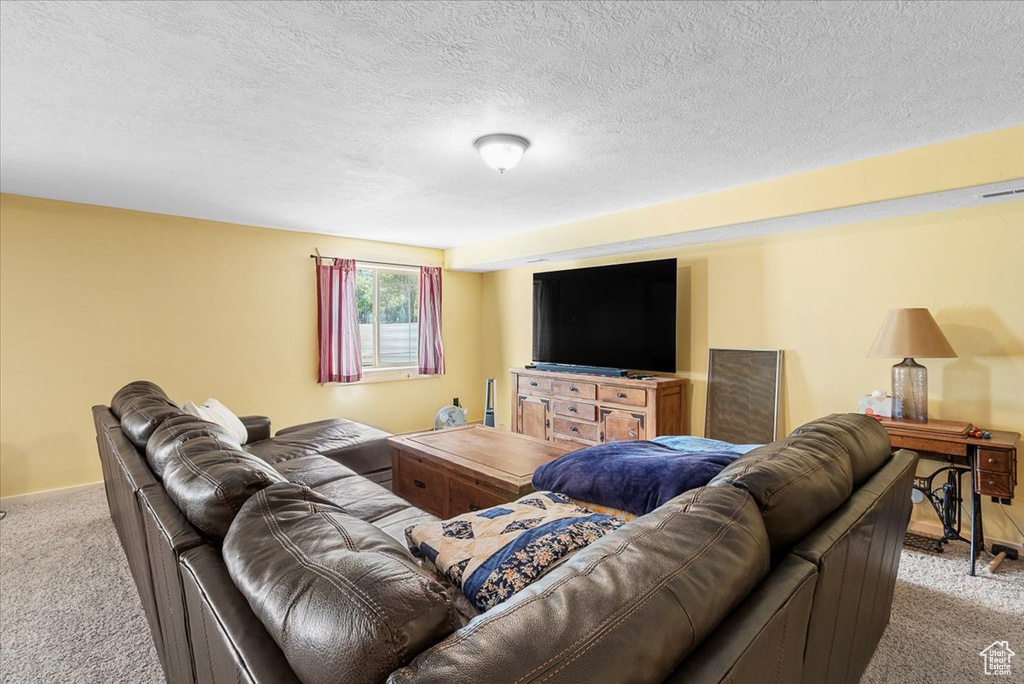 Carpeted living room with a textured ceiling