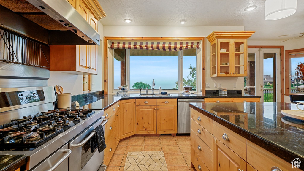 Kitchen featuring a wealth of natural light, stainless steel appliances, sink, and extractor fan