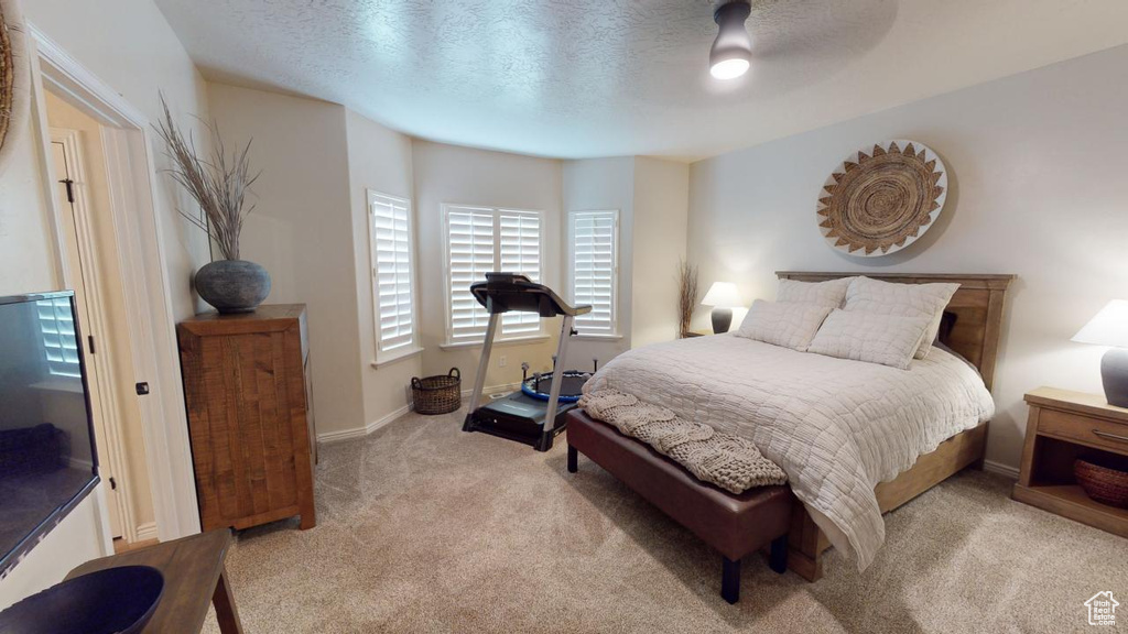 Carpeted bedroom with ceiling fan and a textured ceiling