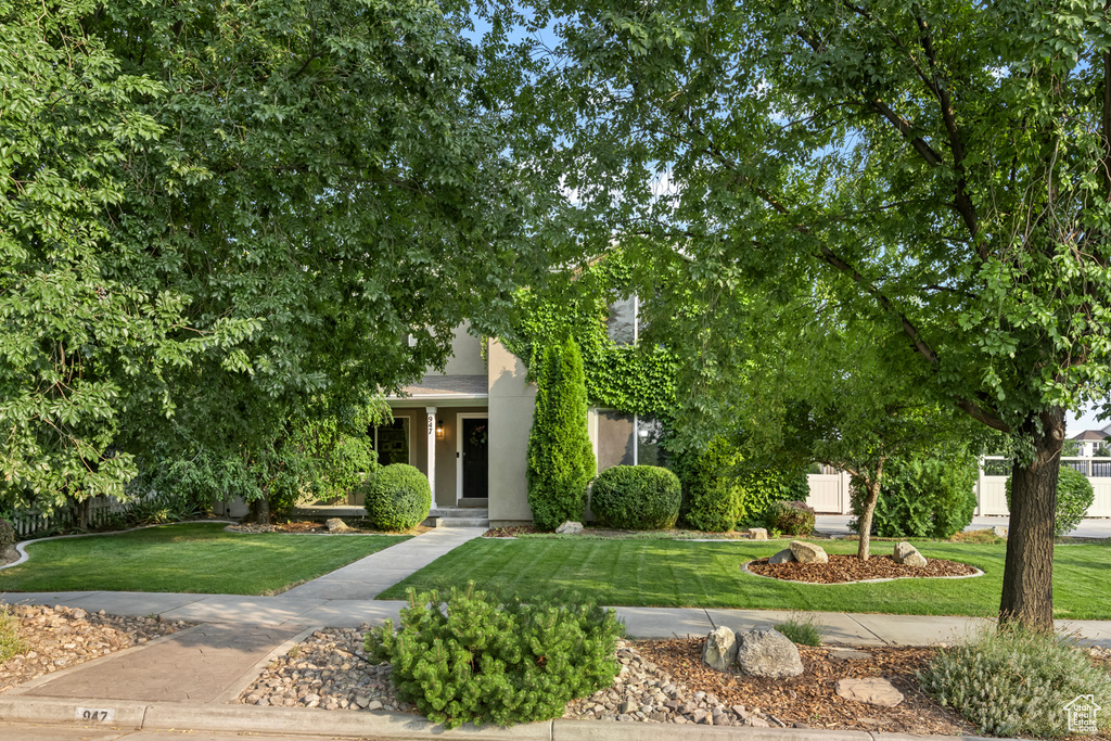 Obstructed view of property featuring a front lawn