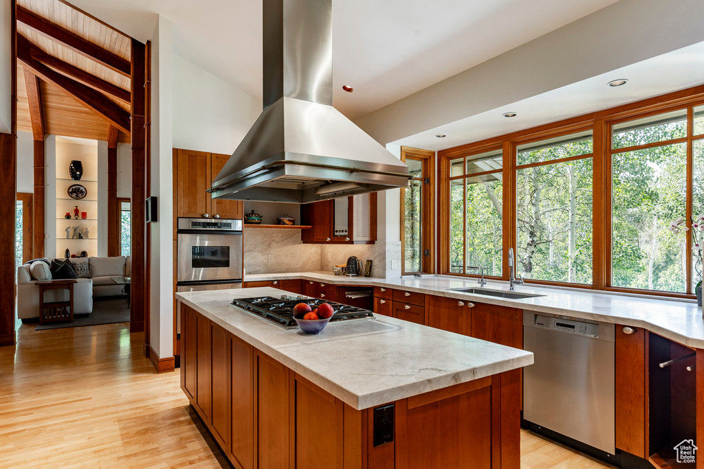 Kitchen featuring tasteful backsplash, light wood-type flooring, island exhaust hood, appliances with stainless steel finishes, and a sink