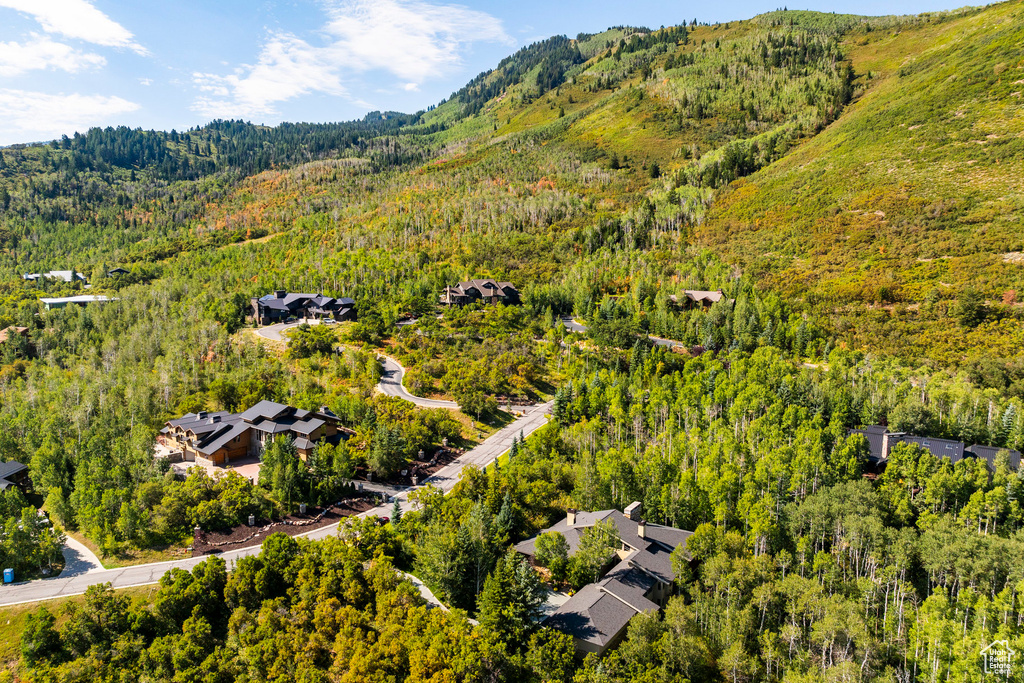 Drone / aerial view of a heavily wooded area
