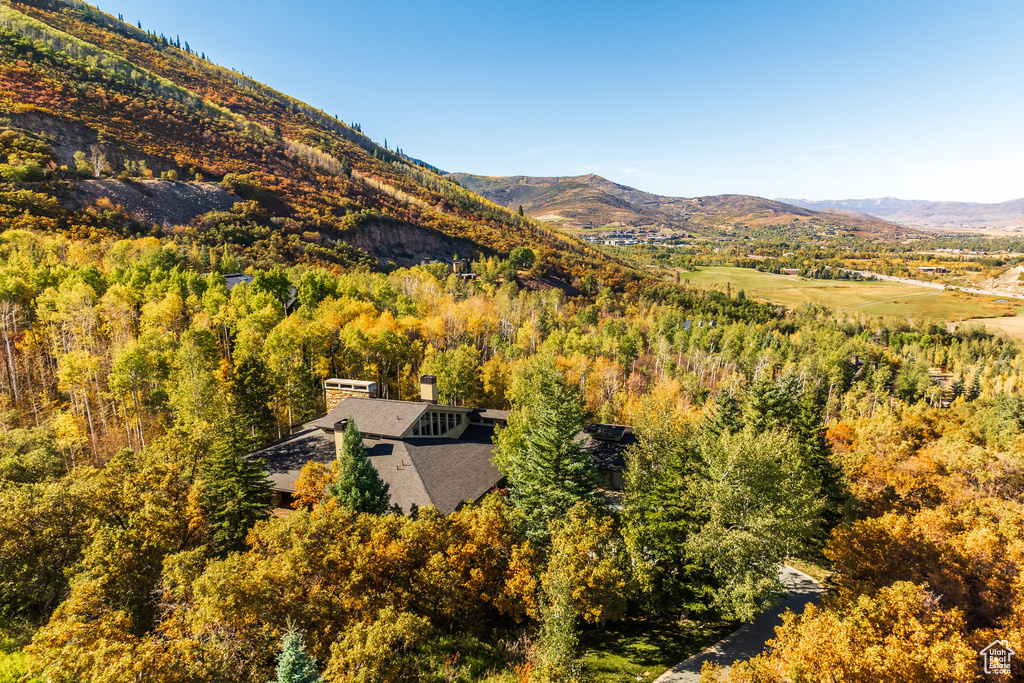 View of mountain feature with a wooded view