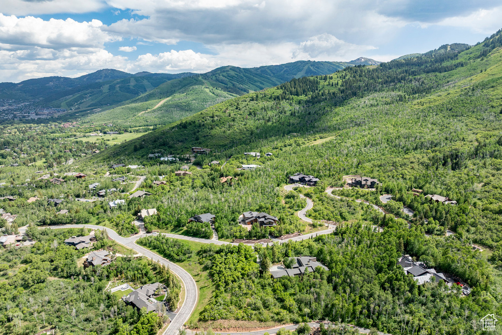 Drone / aerial view of mountains and a forest
