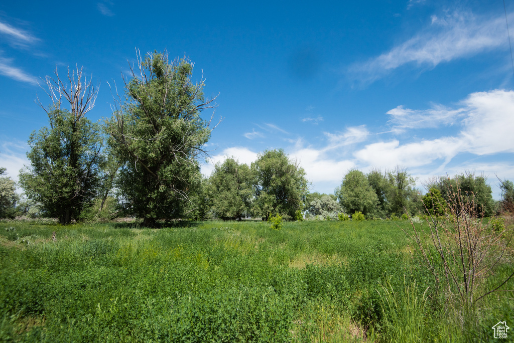 View of nature with a rural view