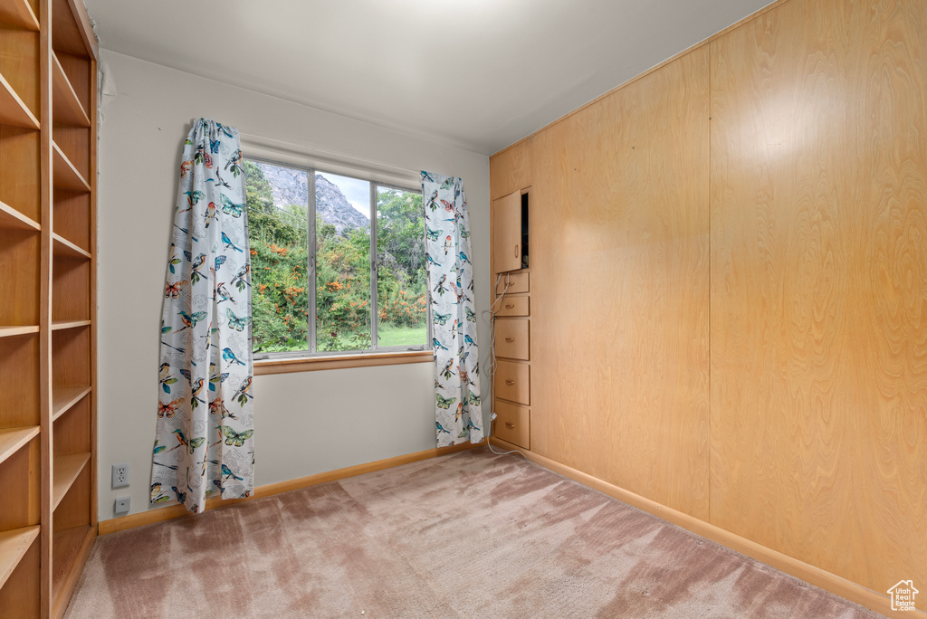 Spare room with carpet floors and wood walls