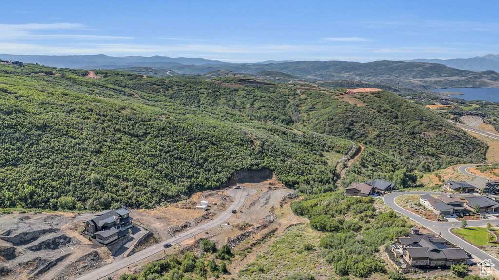 Aerial view with a mountain view