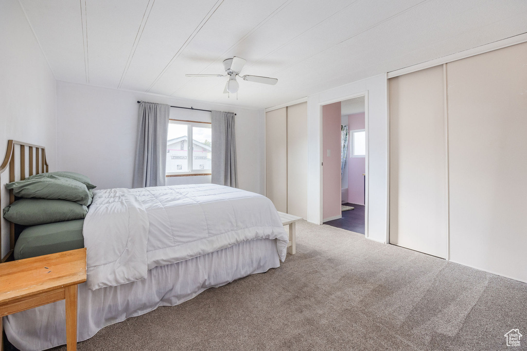 Bedroom featuring carpet flooring, ceiling fan, ensuite bathroom, and multiple closets