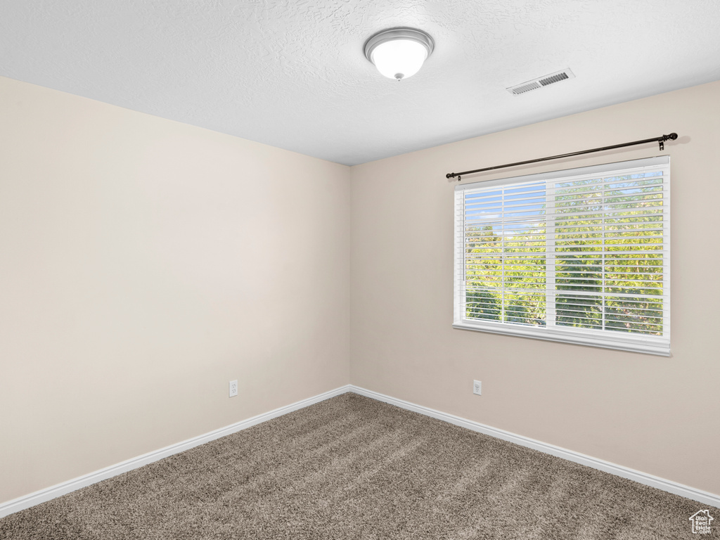 Unfurnished room with a textured ceiling and carpet floors