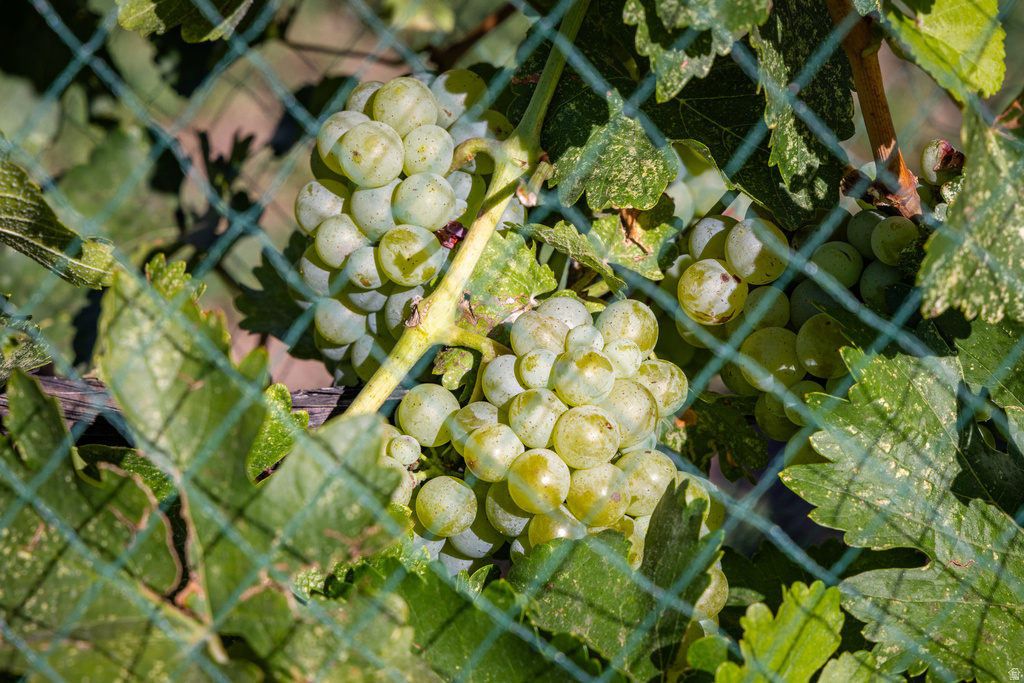 1035 S MONTEZUMA CANYON RD Monticello, UT 84535