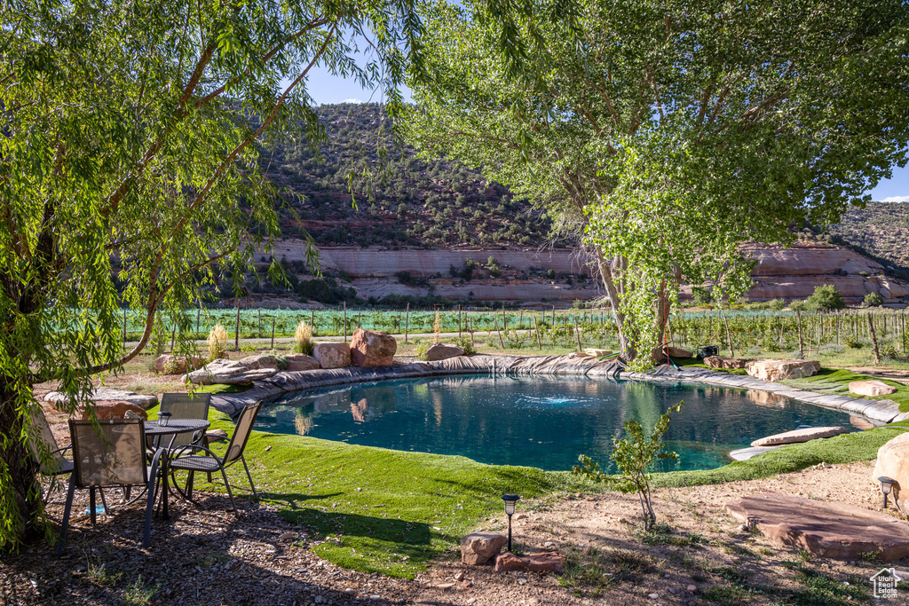 View of swimming pool featuring a yard