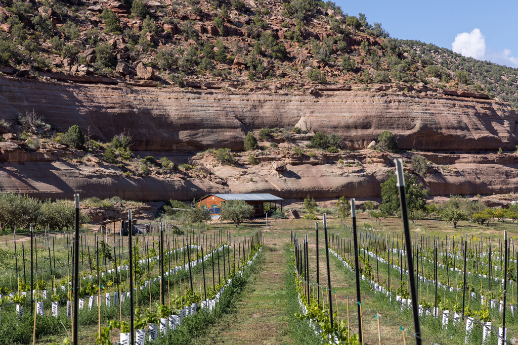 1035 S MONTEZUMA CANYON RD Monticello, UT 84535