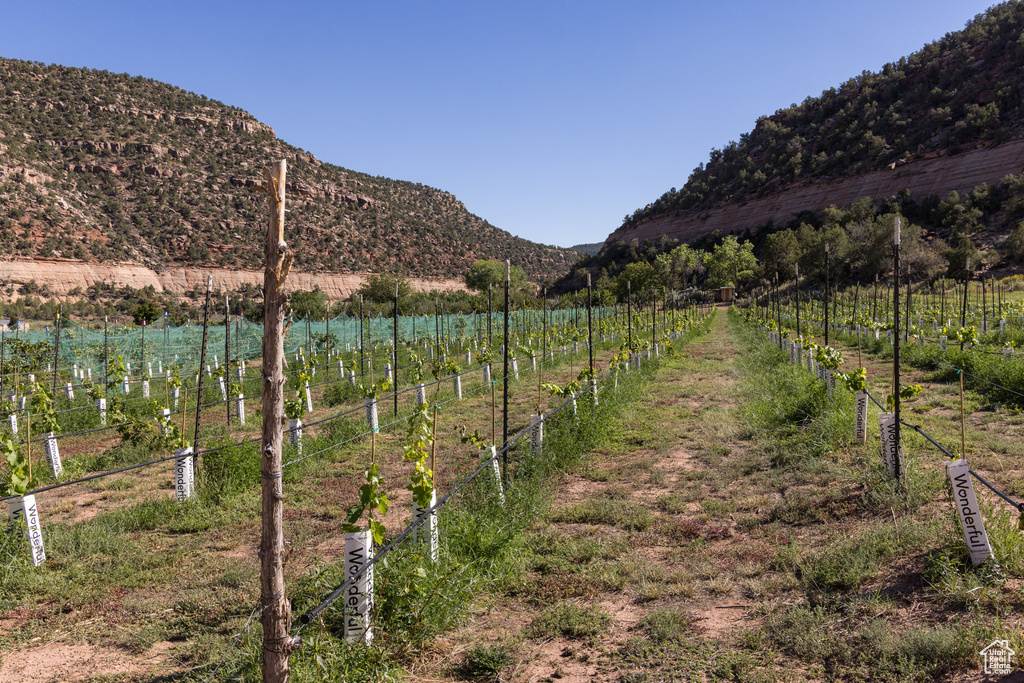 View of mountain feature with a rural view