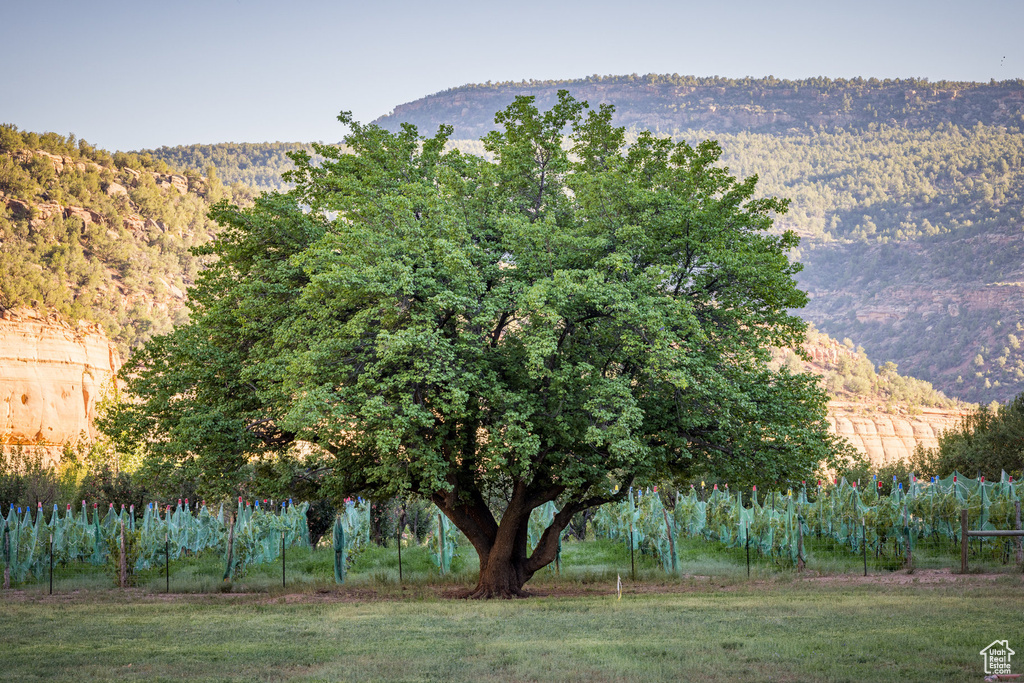 View of mountain feature with a rural view