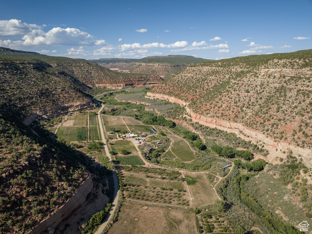 Drone / aerial view featuring a rural view and a mountain view