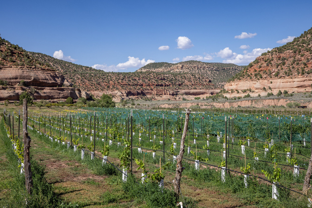 1035 S MONTEZUMA CANYON RD Monticello, UT 84535