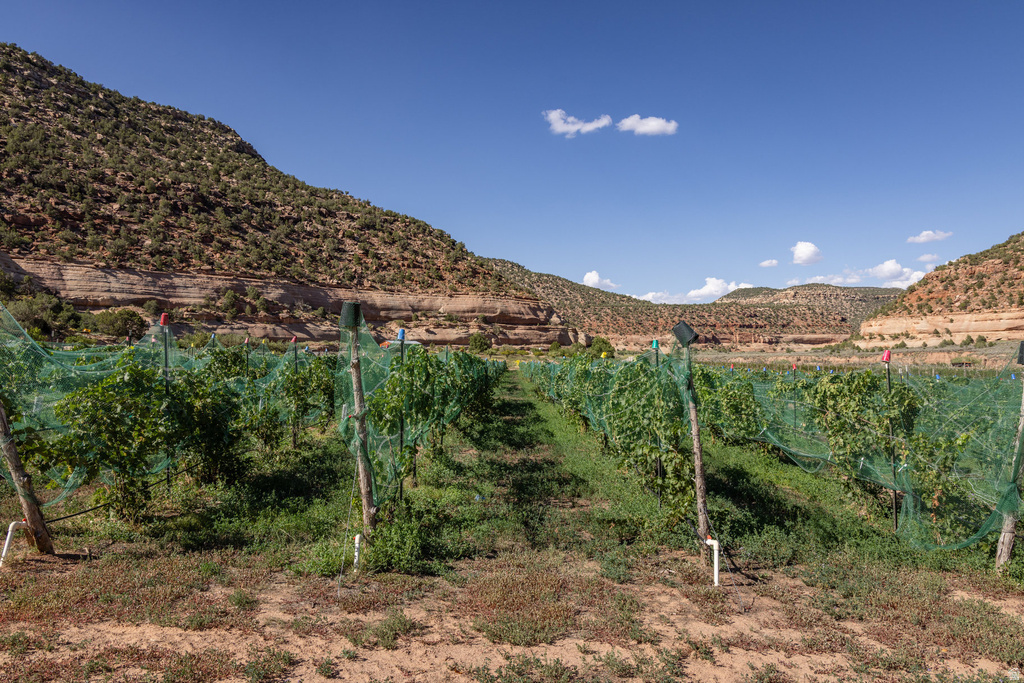 1035 S MONTEZUMA CANYON RD Monticello, UT 84535