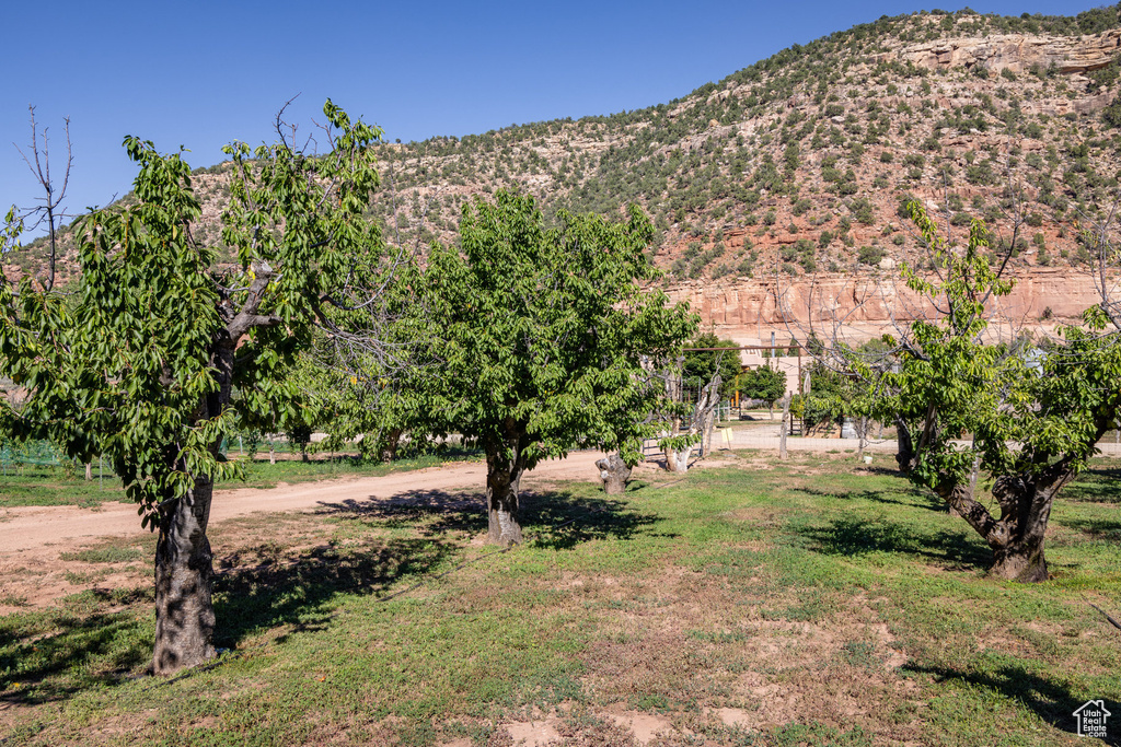 Property view of mountains with a rural view