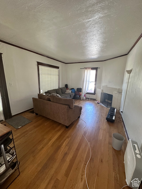 Living room with a textured ceiling, crown molding, hardwood / wood-style floors, and radiator heating unit