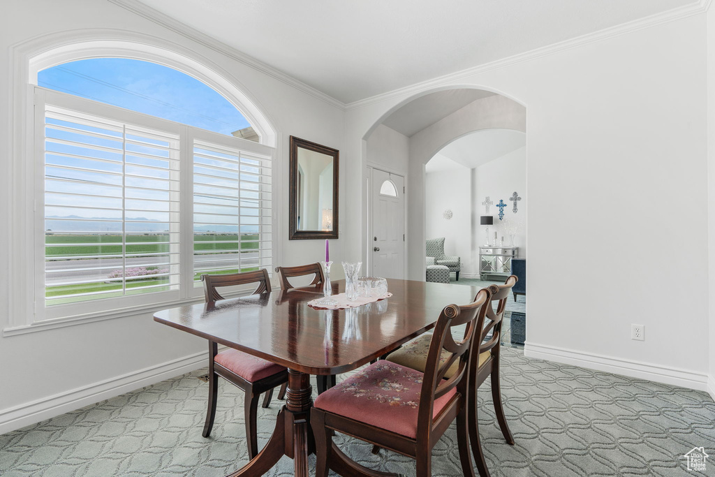 Carpeted dining area with crown molding