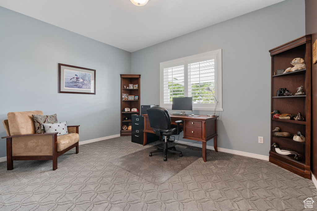 View of carpeted office