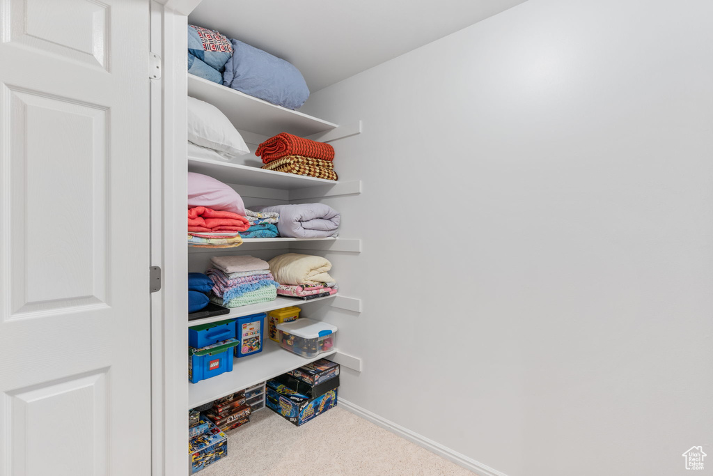 Spacious closet featuring carpet