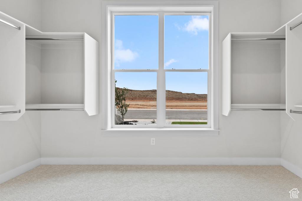 Spacious closet featuring carpet flooring