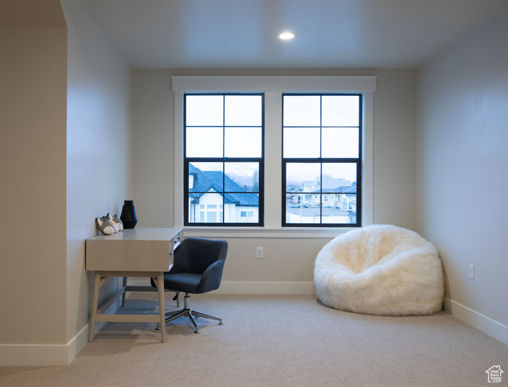 View of carpeted office