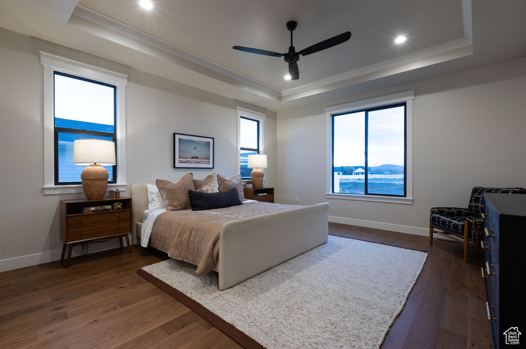 Bedroom featuring a tray ceiling, dark hardwood / wood-style flooring, and ceiling fan