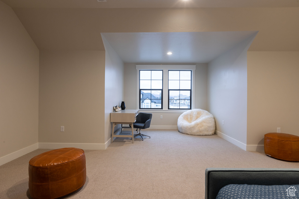 Home office with carpet