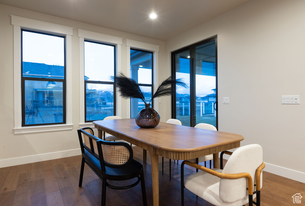 Dining room featuring dark wood-type flooring