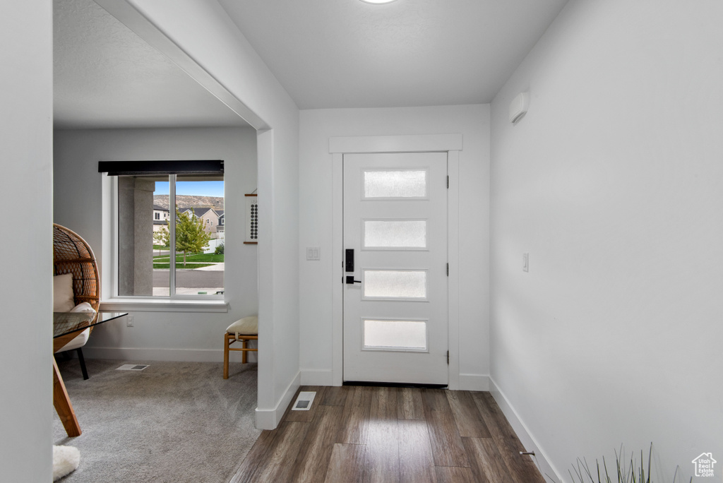 Foyer featuring dark wood-type flooring