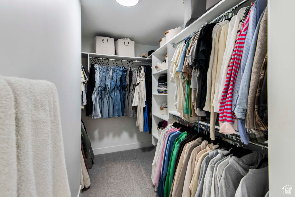 Walk in closet with carpet floors