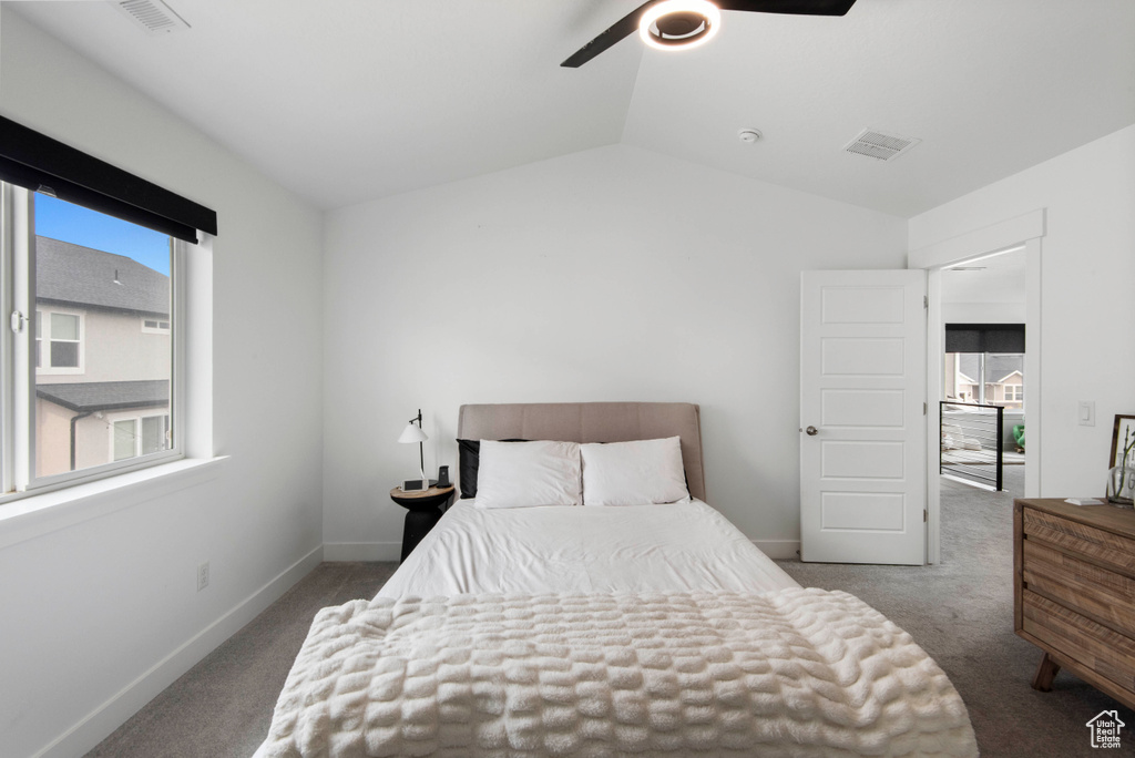 Bedroom with multiple windows, lofted ceiling, ceiling fan, and carpet flooring