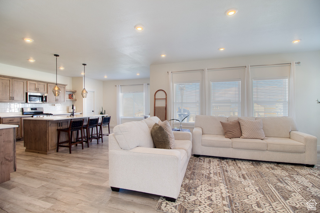 Living room featuring light hardwood / wood-style flooring and sink