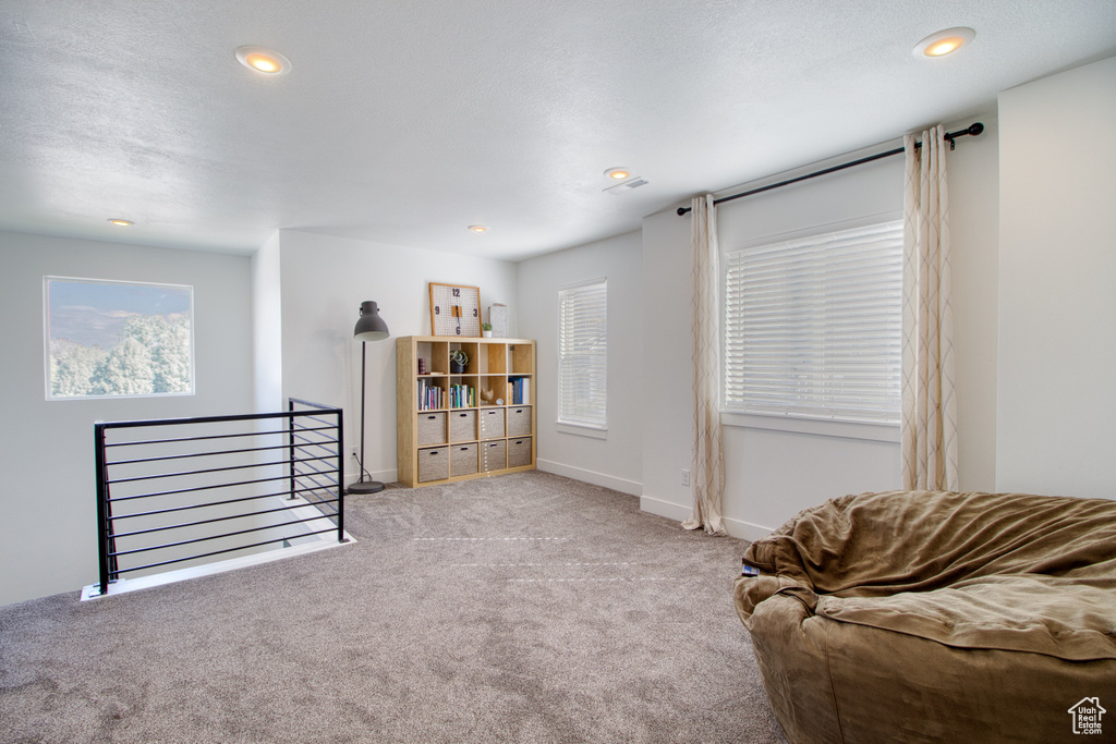 Sitting room featuring a textured ceiling and light colored carpet