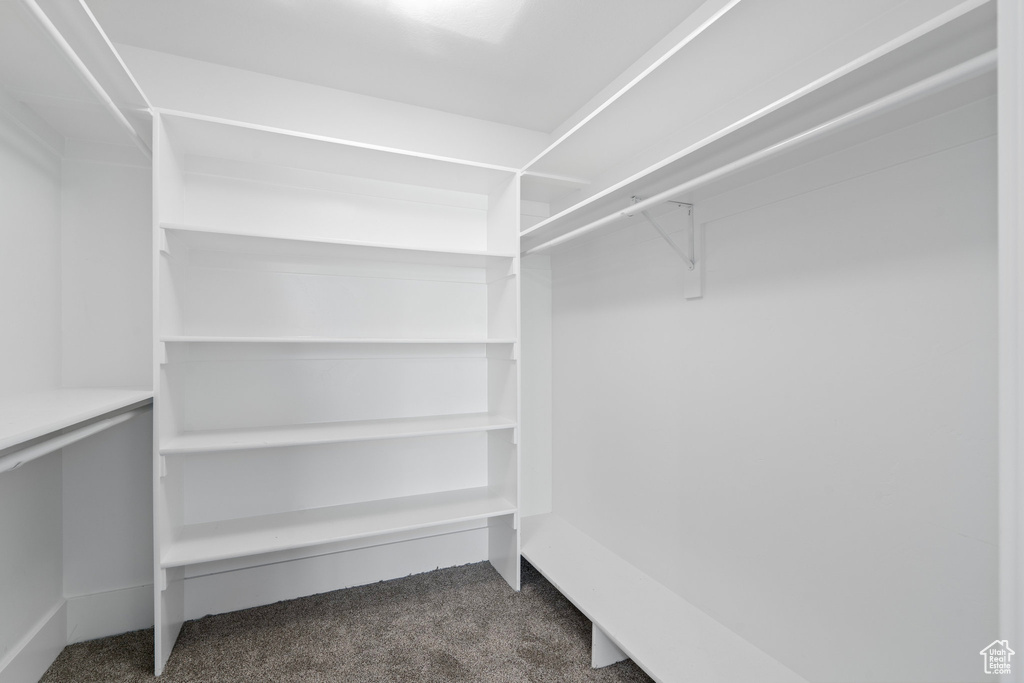 Walk in closet featuring carpet