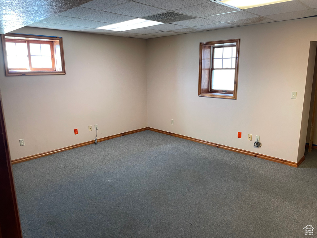 Unfurnished room with a paneled ceiling, carpet flooring, and plenty of natural light