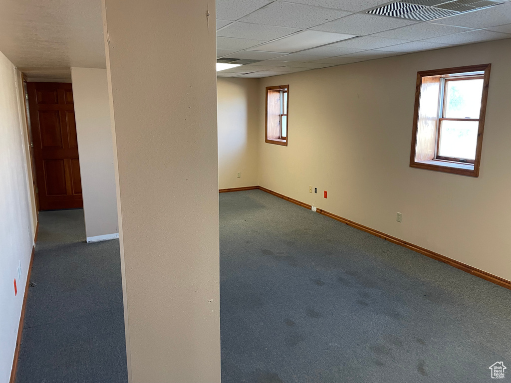 Carpeted empty room with a paneled ceiling and a healthy amount of sunlight