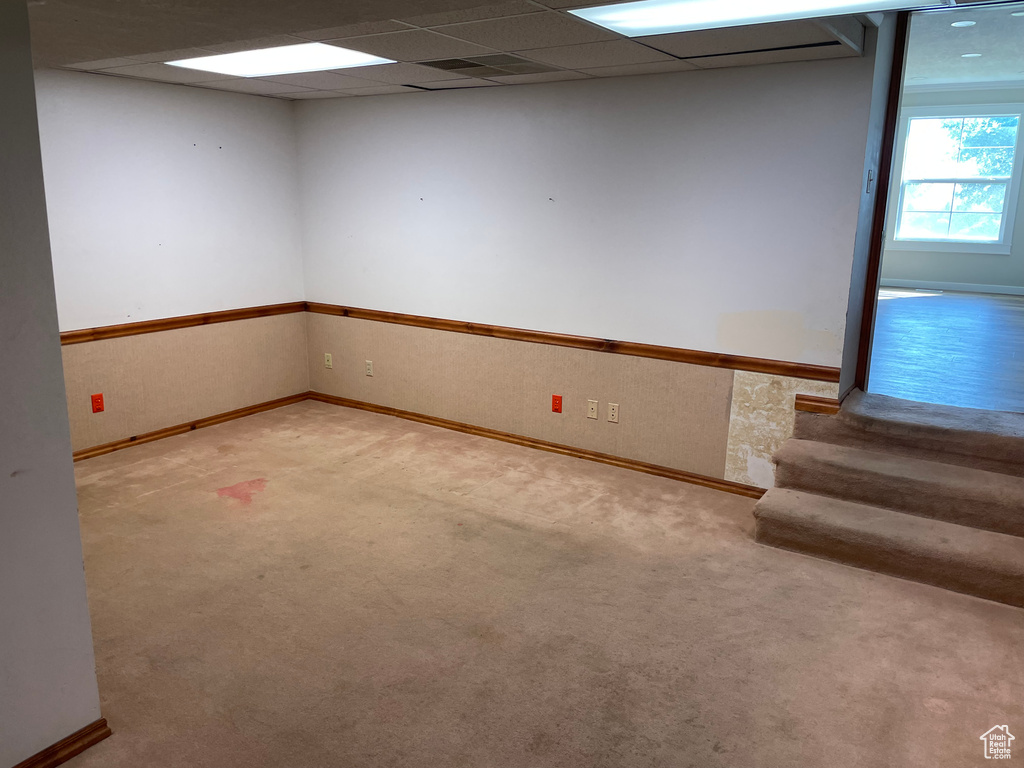 Empty room featuring a drop ceiling and carpet floors