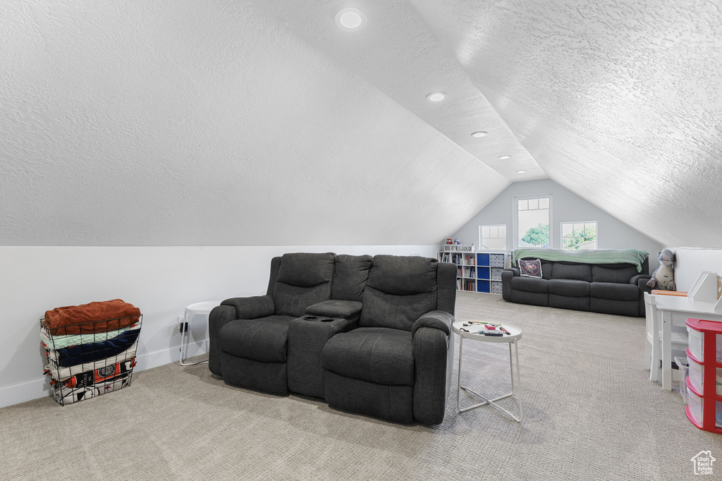 Carpeted living room with a textured ceiling and vaulted ceiling