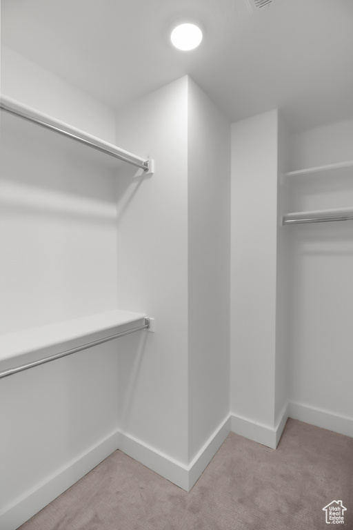 Spacious closet featuring light carpet