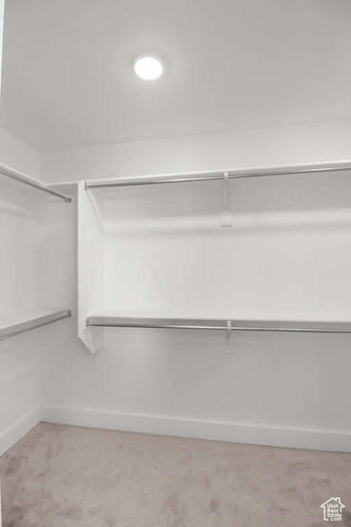 Spacious closet with light carpet