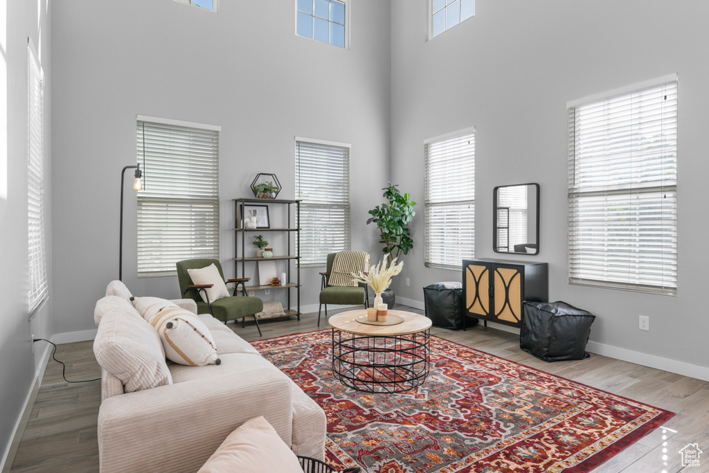 Living room featuring a towering ceiling, hardwood / wood-style flooring, and a healthy amount of sunlight