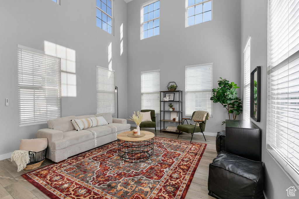 Living room featuring plenty of natural light and light hardwood / wood-style floors