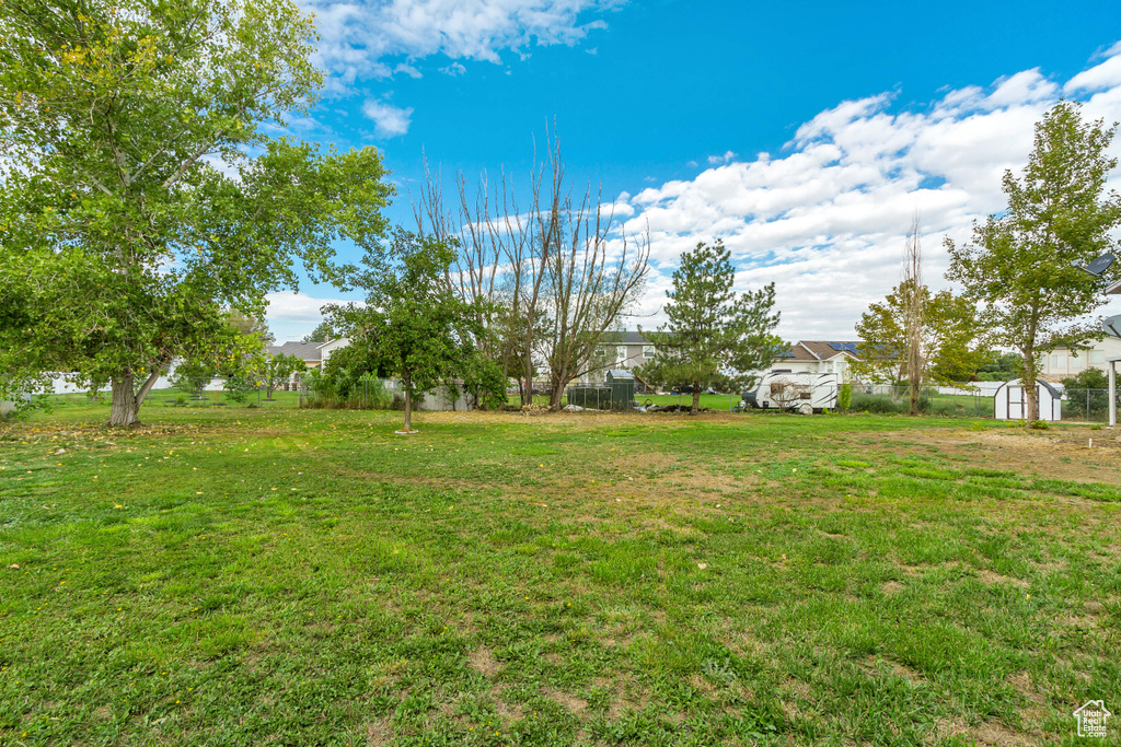 View of yard featuring a shed